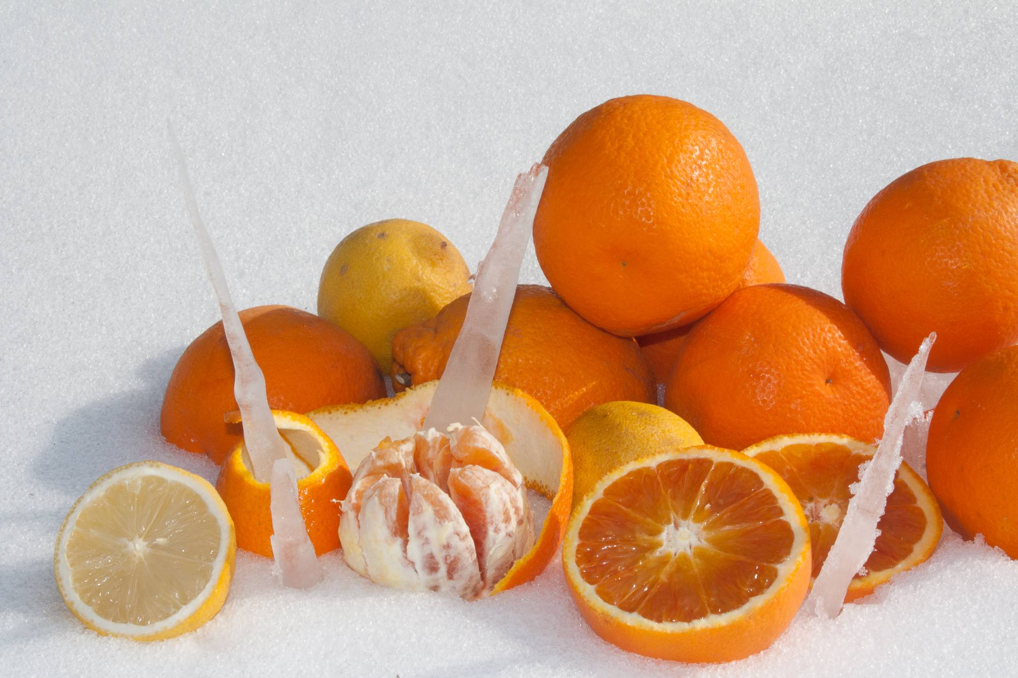 medicina degli umori cibo quattro elementi medio evo