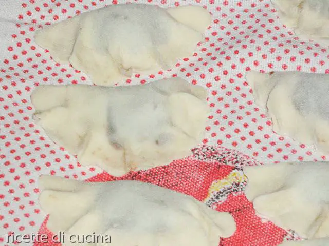 tortelli cremaschi