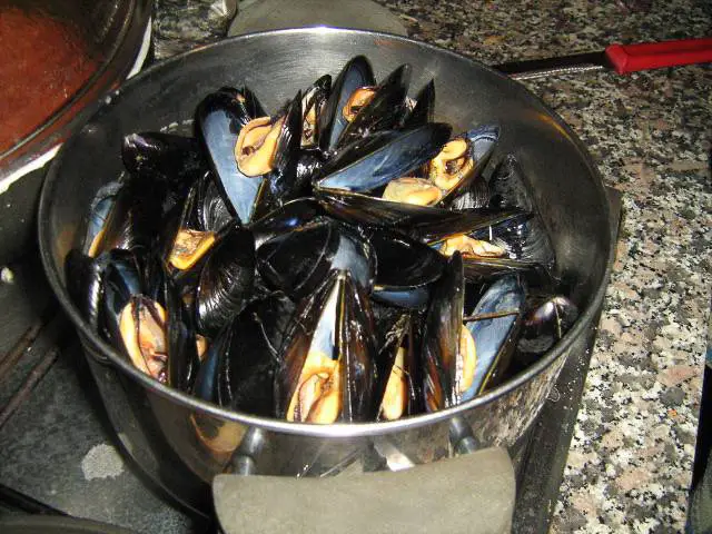 cozze aperte in pentola