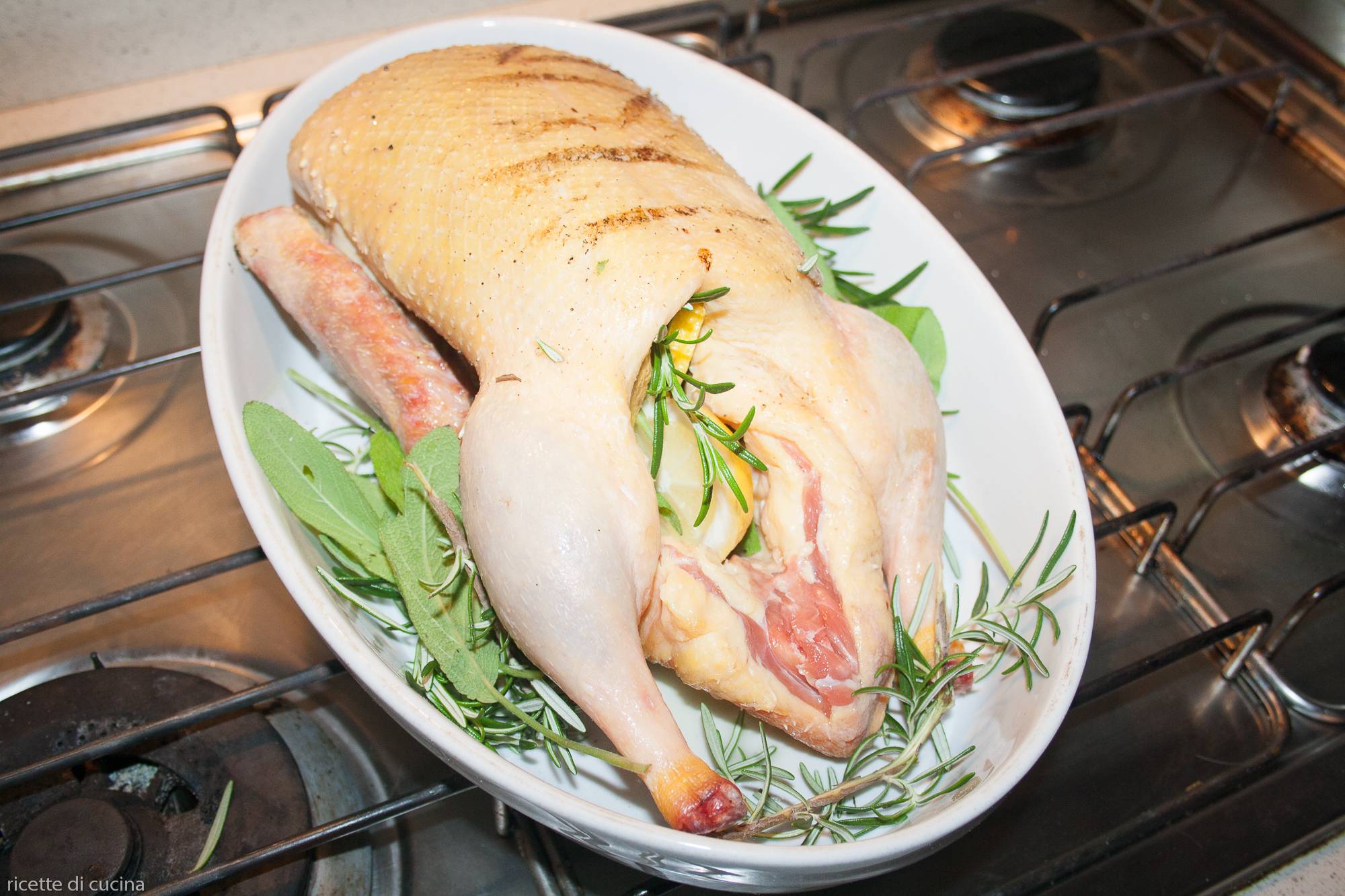 anitra prima cottura al forno