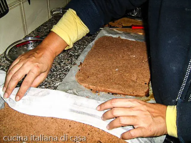 pan di spagna al cacao messo in forma per tronchetto natale