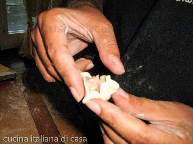 fare forma wanton