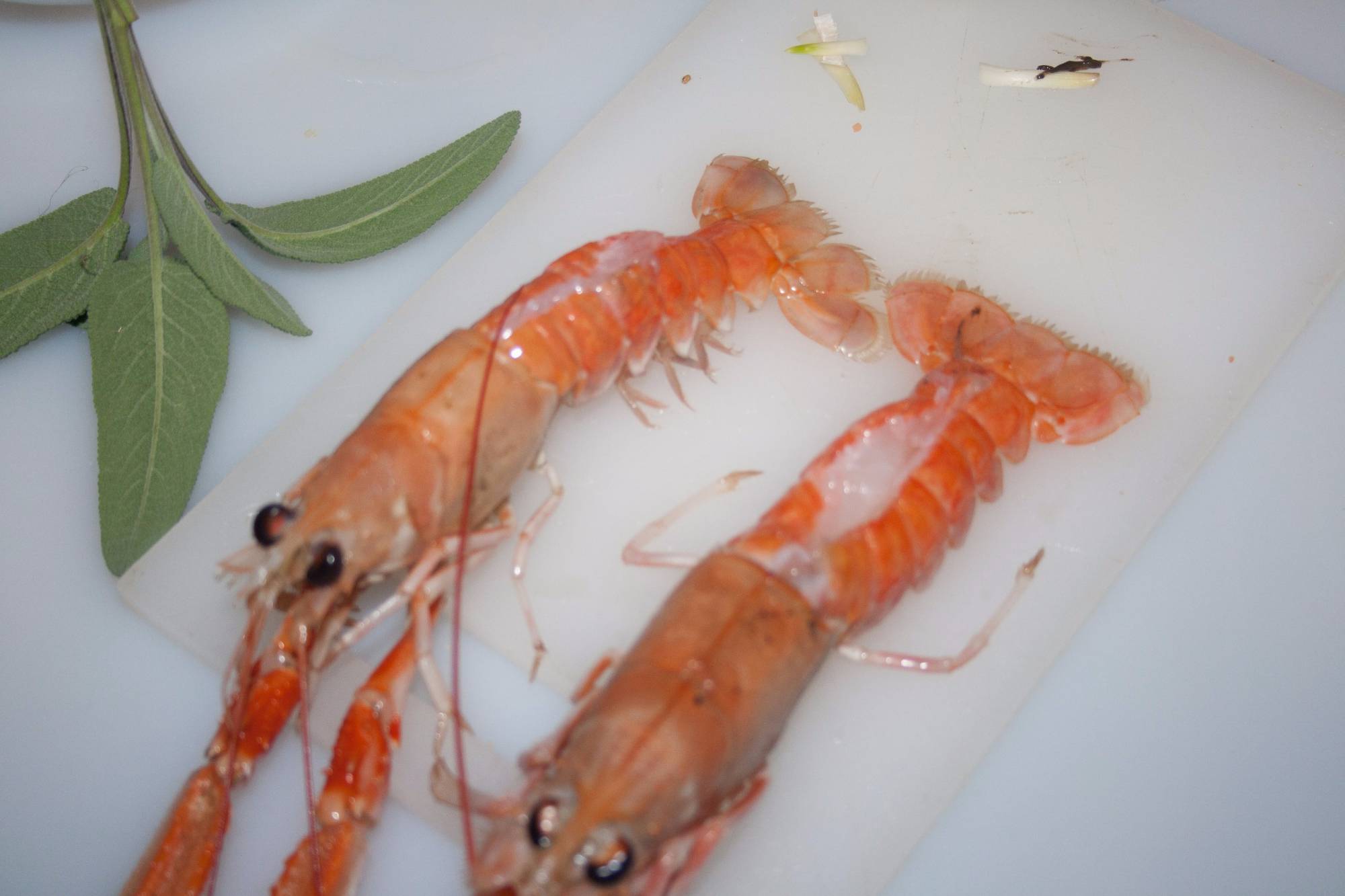 scampi puliti