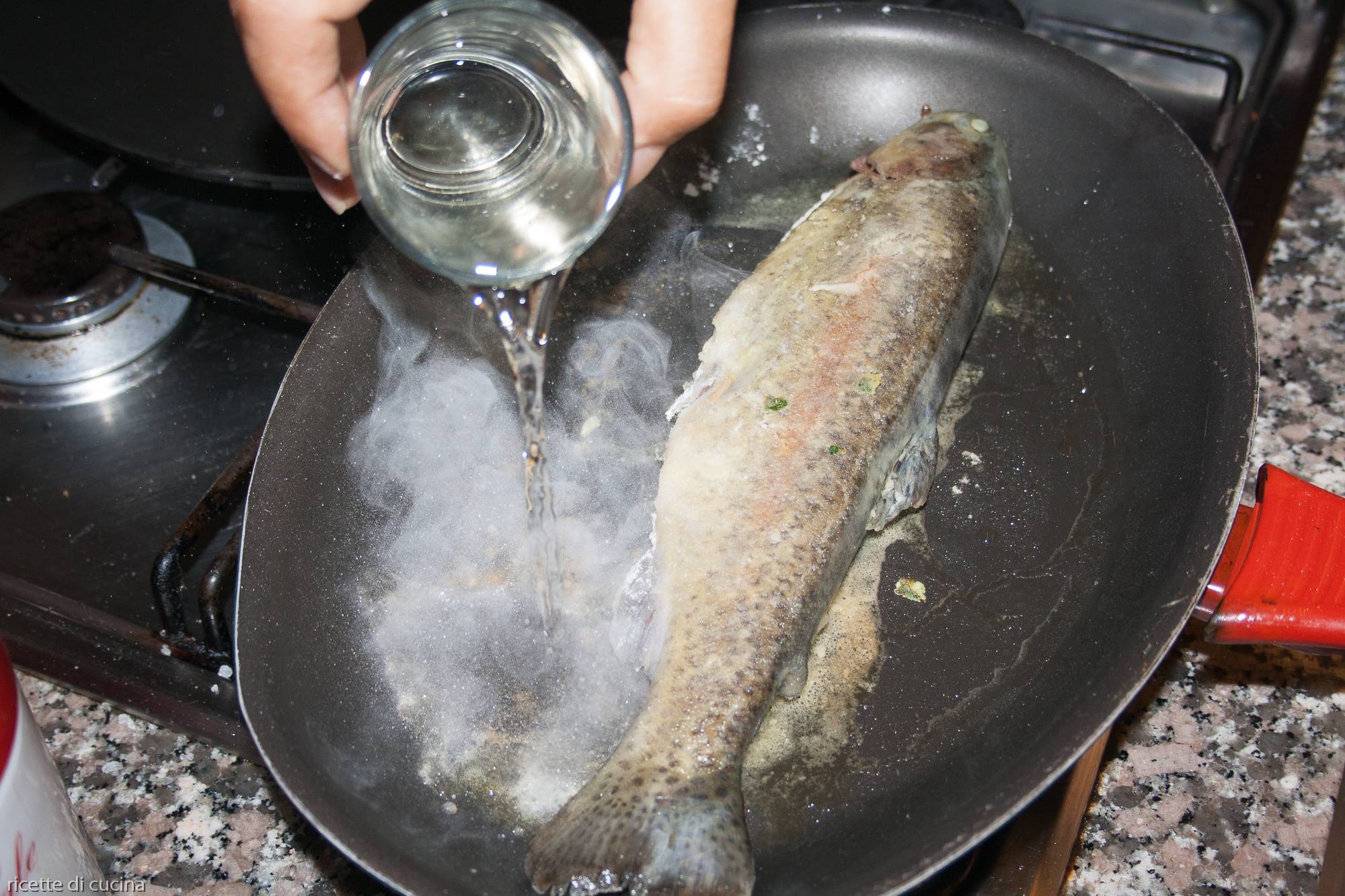 sfumare trota con vino bianco
