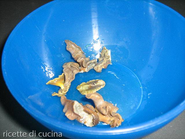 piede di lumache pulite