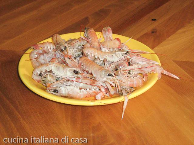 scampi