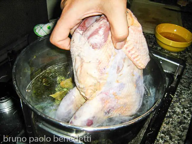 immergere fagiano in acqua nella pentola