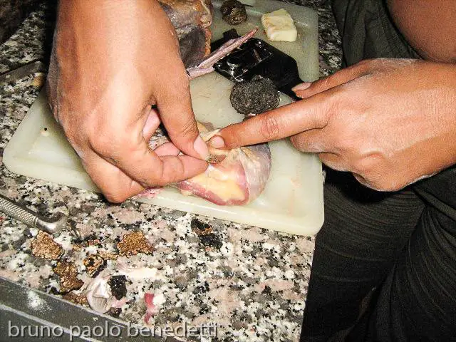 inserire in faraona tartufo