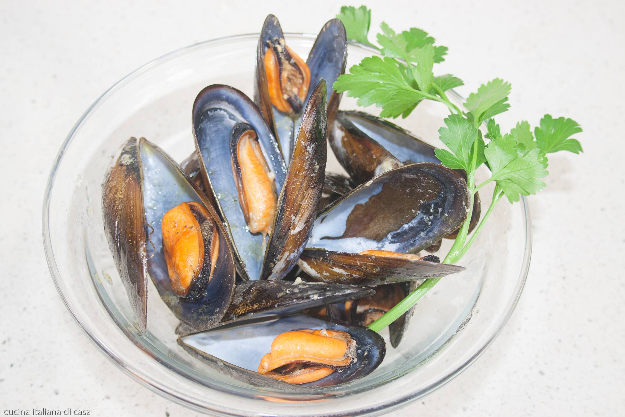 cozze