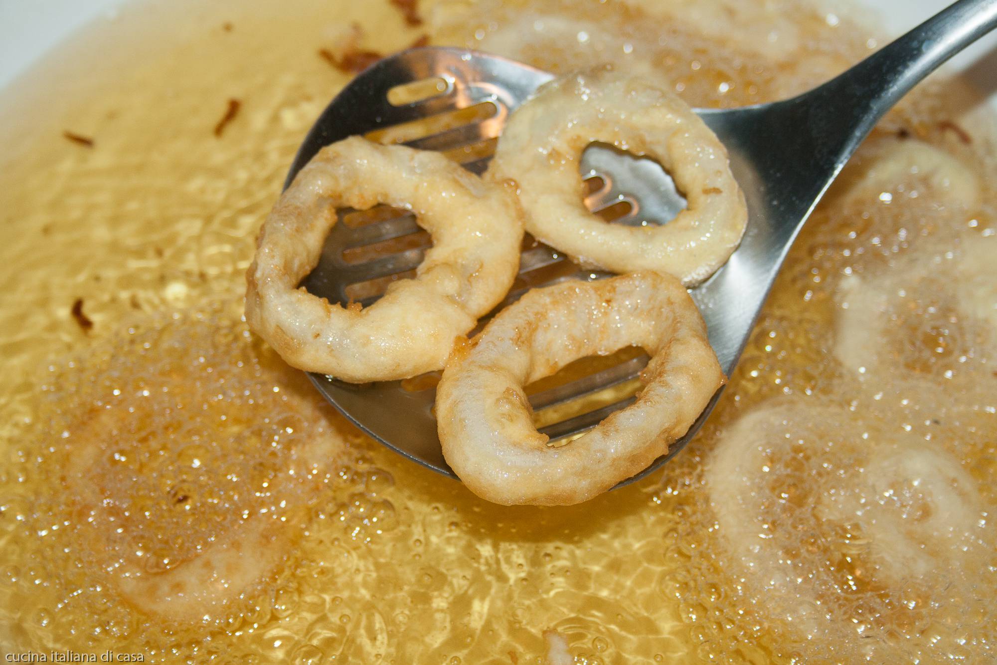 estrarre anelli calamaro fritti da olio