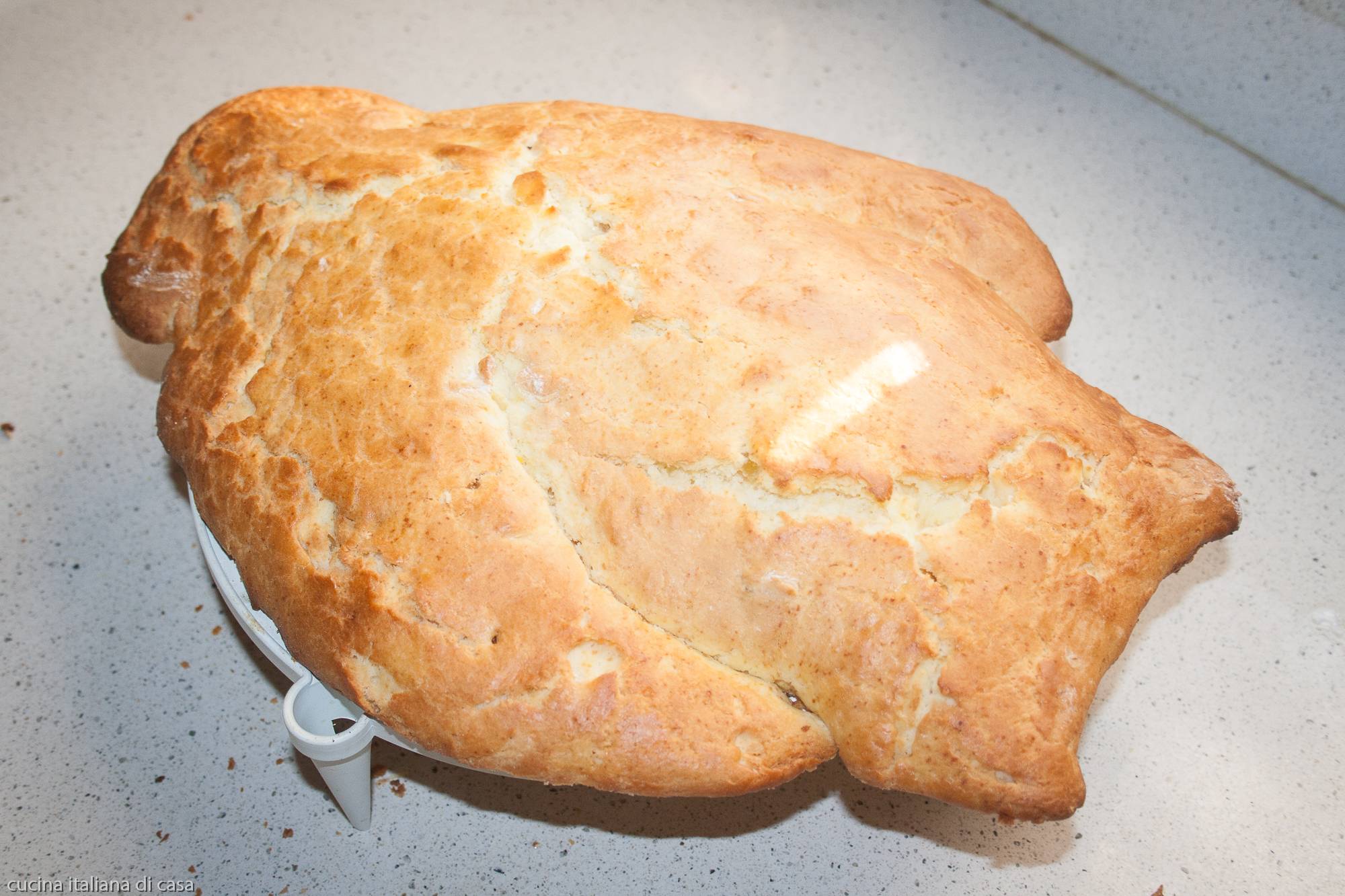 colomba su gratella