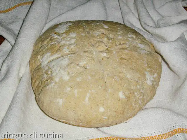 pagnotta di pane toscano