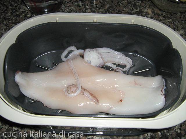 calamaro in vaporiera