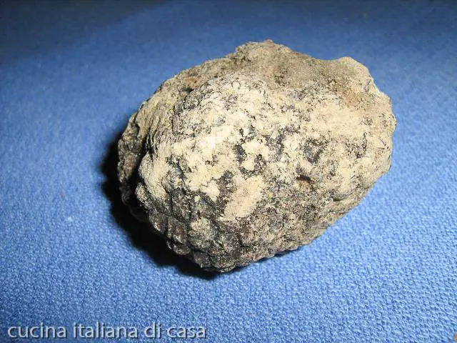 tartufo bianco