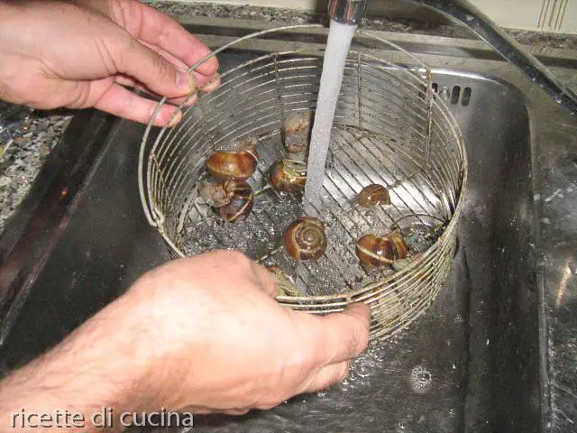 lavare lumache sotto getto rubinetto
