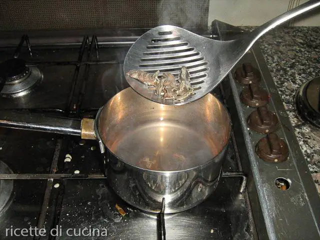 scolare chiocciole