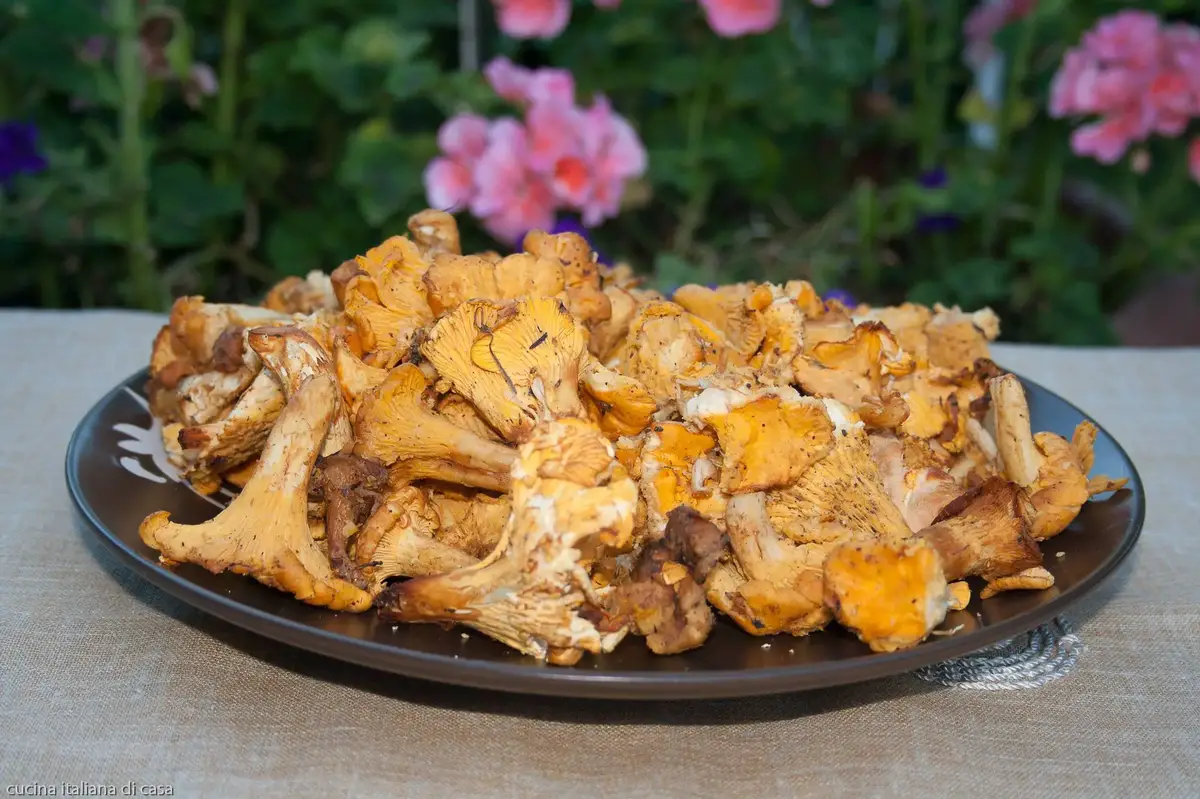Funghi Cantarelli O Finferli O Gallinacci Caratteristiche E Come Pulirli Ricette Di Cucina