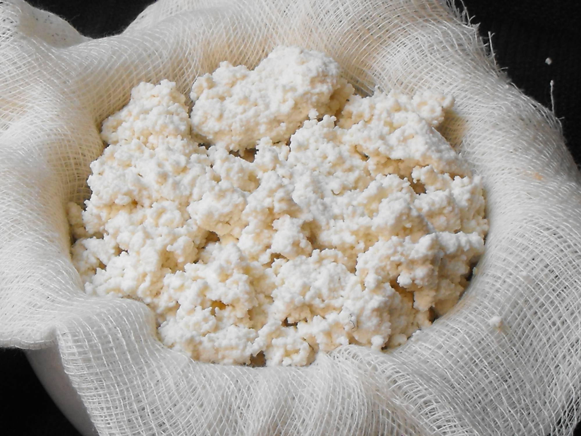 ricotta e suoi impieghi in cucina