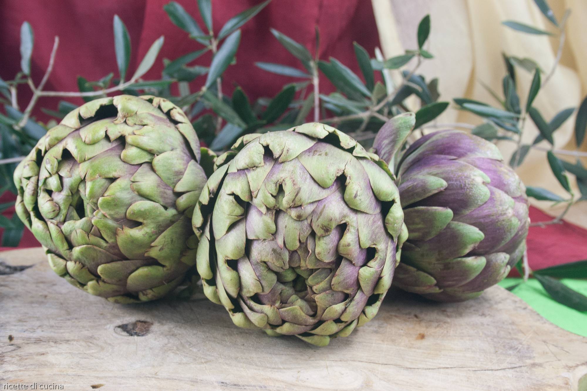 carciofi varietà e proprietà Ricette di Cucina