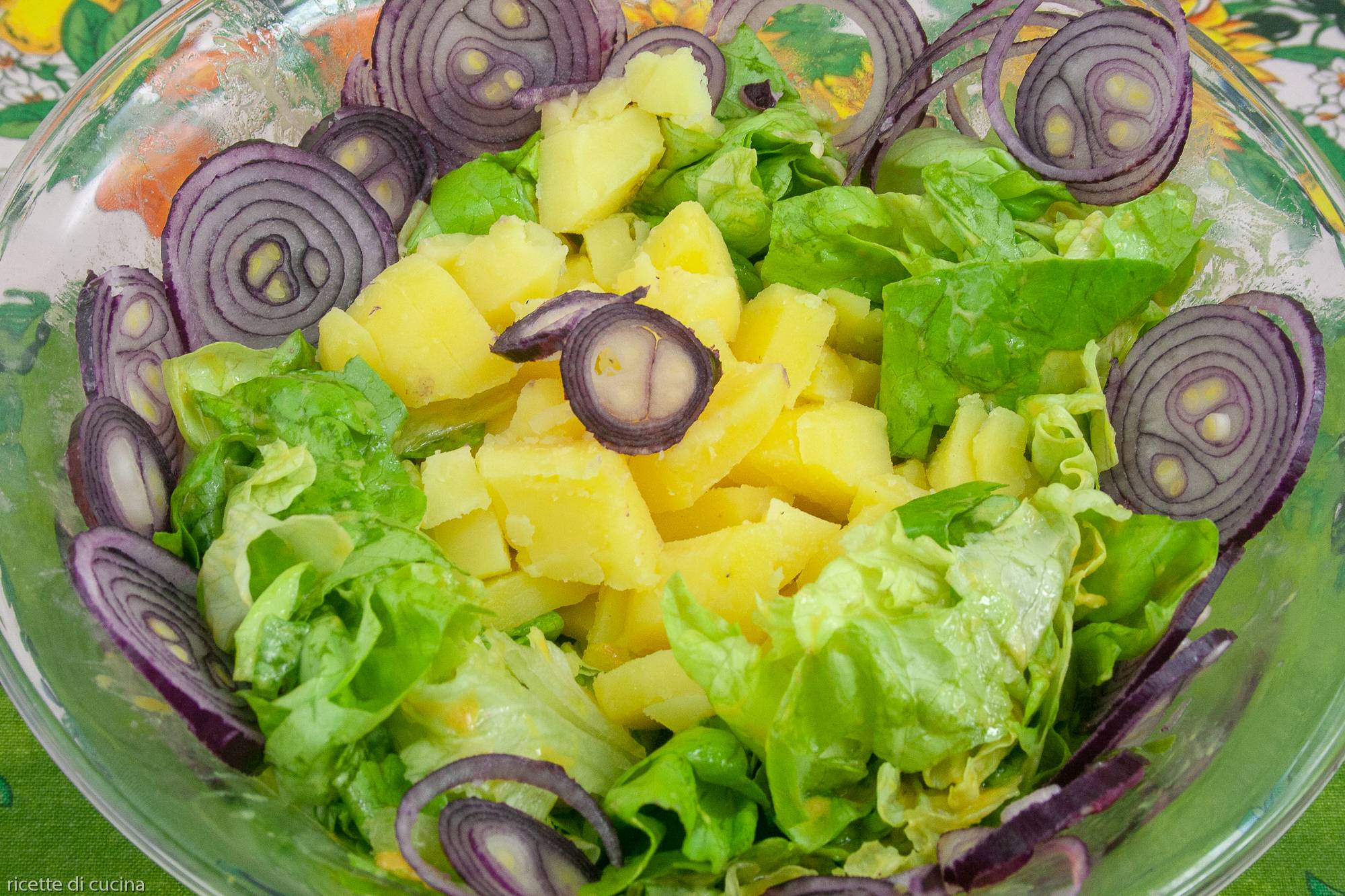 ricetta insalata lattughino cipollotti