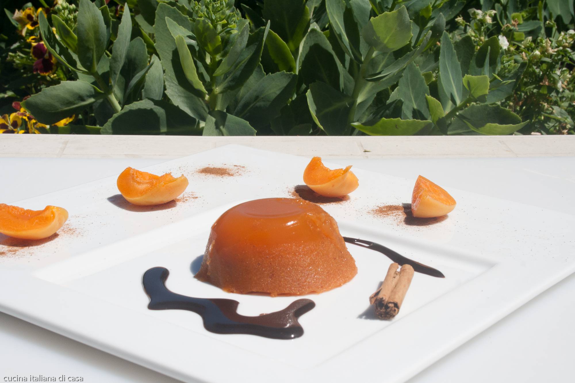 ricetta gelatina albicocche