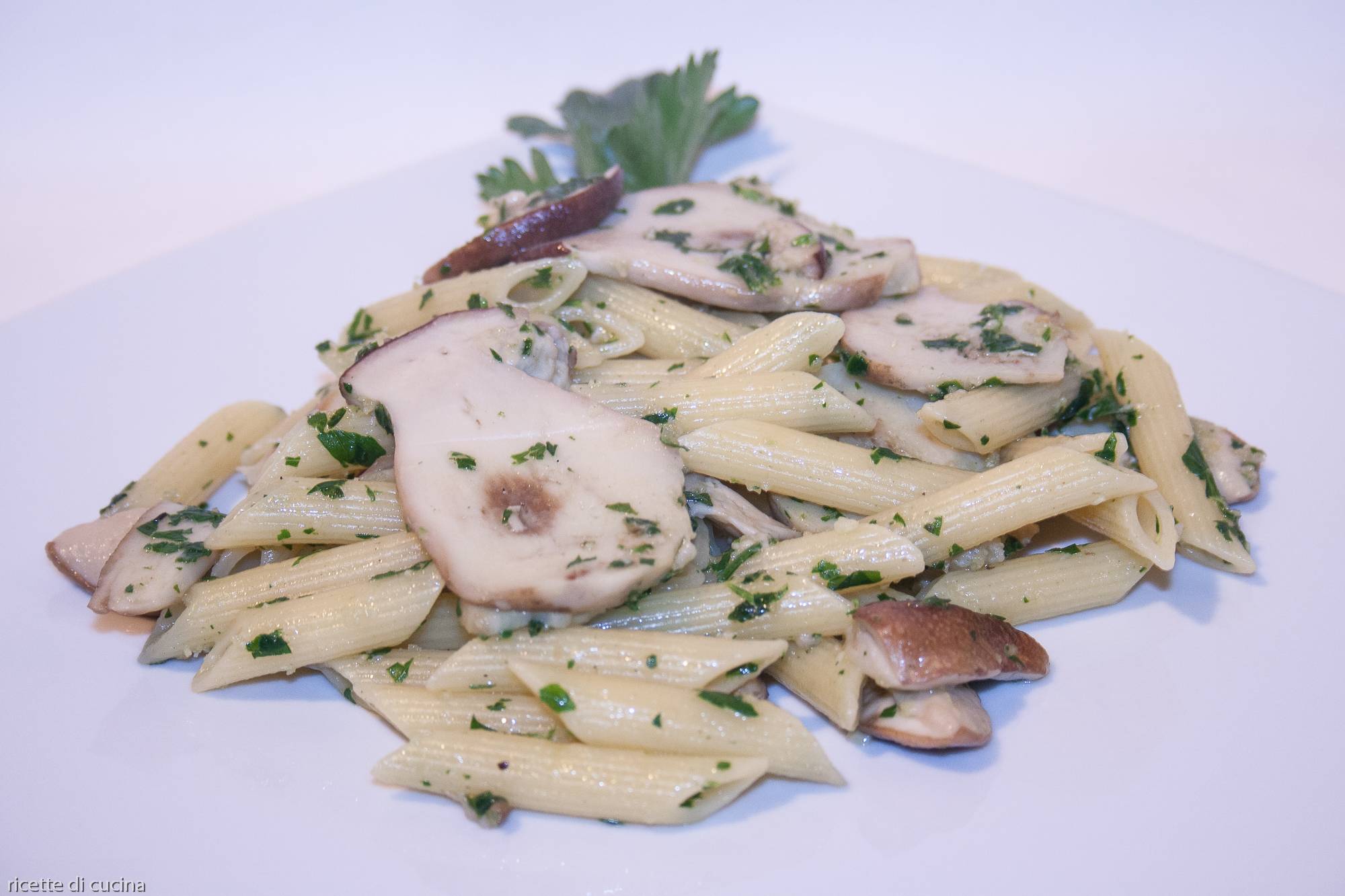 ricetta penne funghi porcini freschi