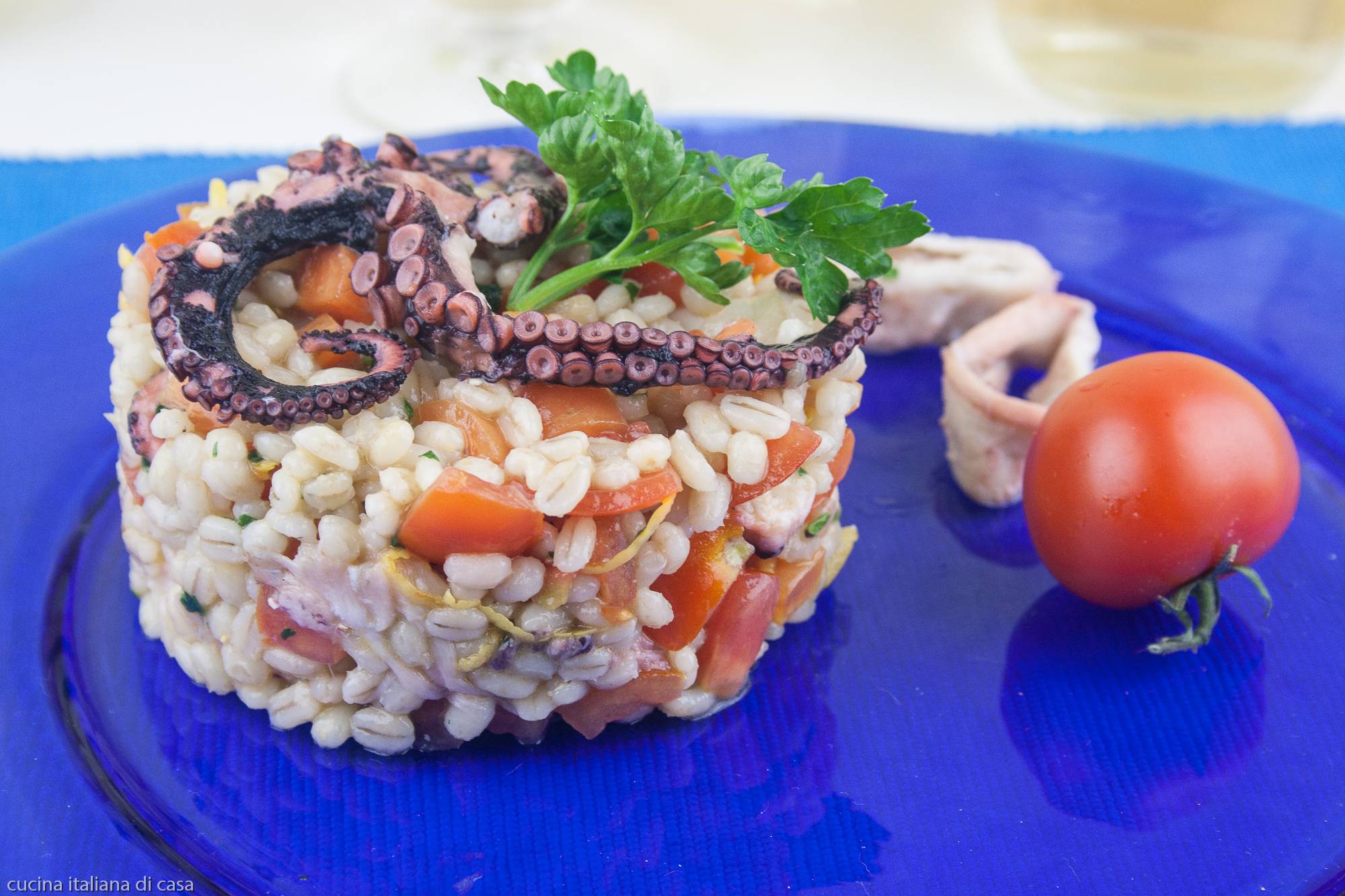 Insalata di orzo con polpo e verdure, ricetta di piatto unico freddo per l’estate con foto.